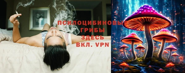 мяу мяу мука Балахна